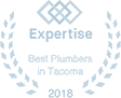 Expertise best plumbers award